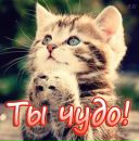 Голіната Світлана фотография #13 (источник - https://vk.com/id70881949)