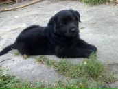 Оля Антонів фотография #8 (источник - https://vk.com/id88594027)