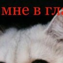 Настя Єфімова фотография #37 (источник - https://vk.com/id134297815)