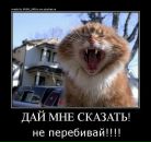 Діана Гуцул фотография #28 (источник - https://vk.com/id85573535)