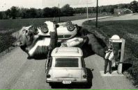 Євген Булах фотография #40 (источник - https://vk.com/id14378950)