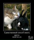 Марія Коліда фотография #17 (источник - https://vk.com/id135722236)