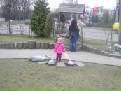 Ігор Крушельницький фотография #17 (источник - https://vk.com/id169978133)