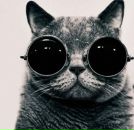 Фотография Костиной Юлии