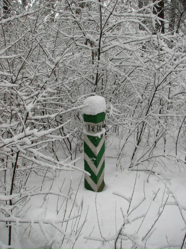 Виктор Долина фотография #48