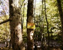 Фотография Акулиной Елены