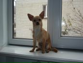 Надя Іщак фотография #30 (источник - https://vk.com/id76429397)