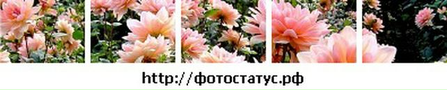 Іра Кулик фотография #37 (источник - https://vk.com/id19033940)