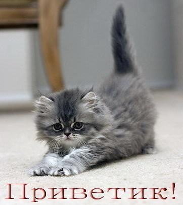 №7, Юля Галкина №7, Юля Галкина