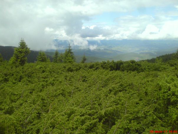 Witaliy Sdg фото №16
