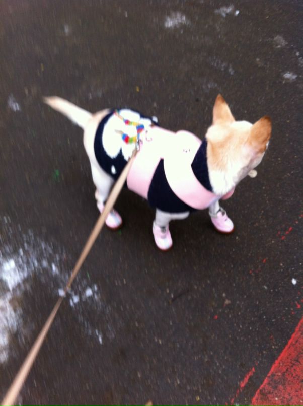 Игорь Сазонов фотография #18