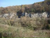 Віка Гребень фотография #15 (источник - https://vk.com/id5916455)