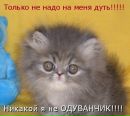 Ирина Постнова фотография #15 (источник - https://vk.com/id158437822)