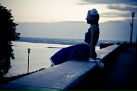 Фотография Доброконной-Амфитеатровой Лисы