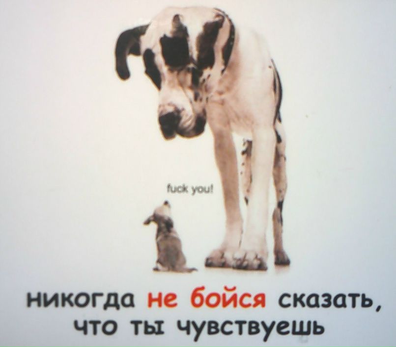 Александр Ш фотография #4