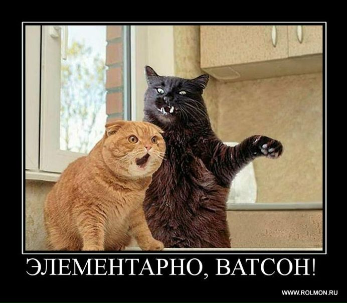 Дима Tryasunoff фото №43