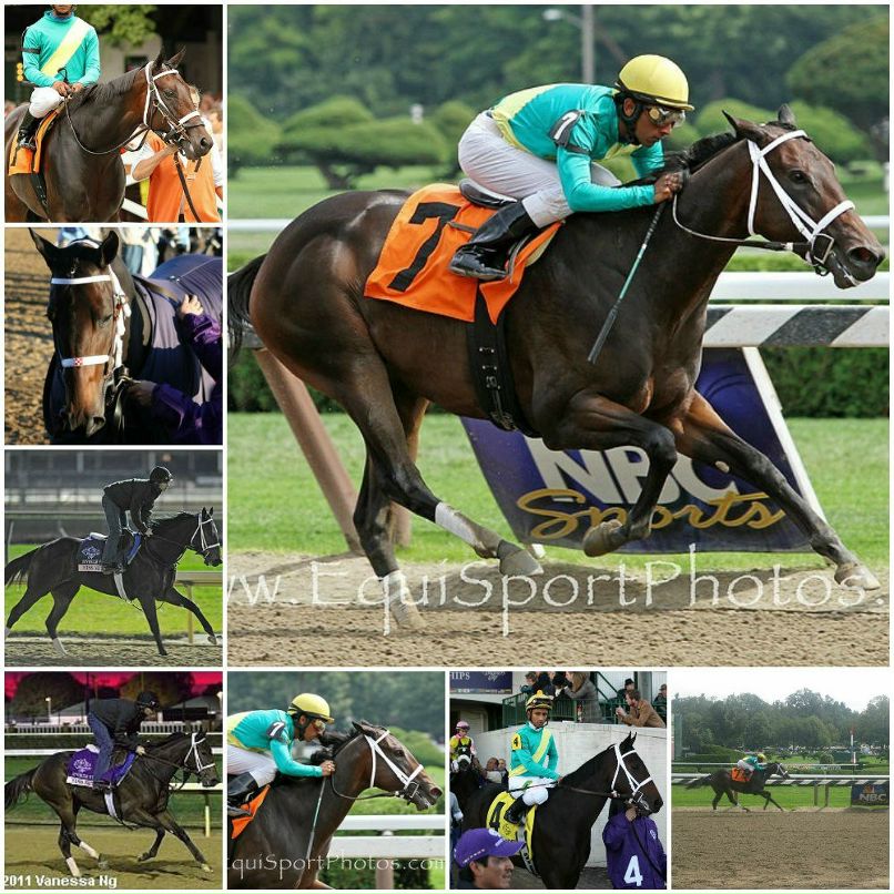 Buster's Ready фотография #30