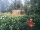 Вероніка Збишко фотография #25 (источник - https://vk.com/id137552587)
