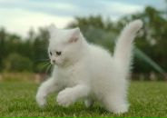 Фотография Кижайкиной Екатерины