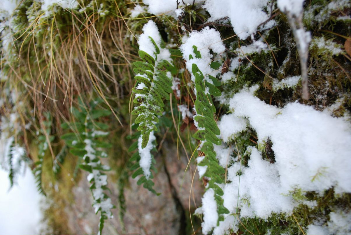 Алекс Андр фотография #32