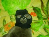 Фотография Ивановича Николая