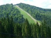 Фотография Антоновой Екатерины