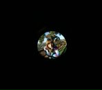 Фотография Asinovskaya Anastasia