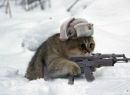 Дєня Процюк фотография #9 (источник - https://vk.com/id165968808)