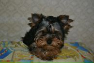 Фотография Пановой Зоеньки