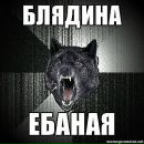 Dima Zuev фотография #45 (источник - https://vk.com/id239784)