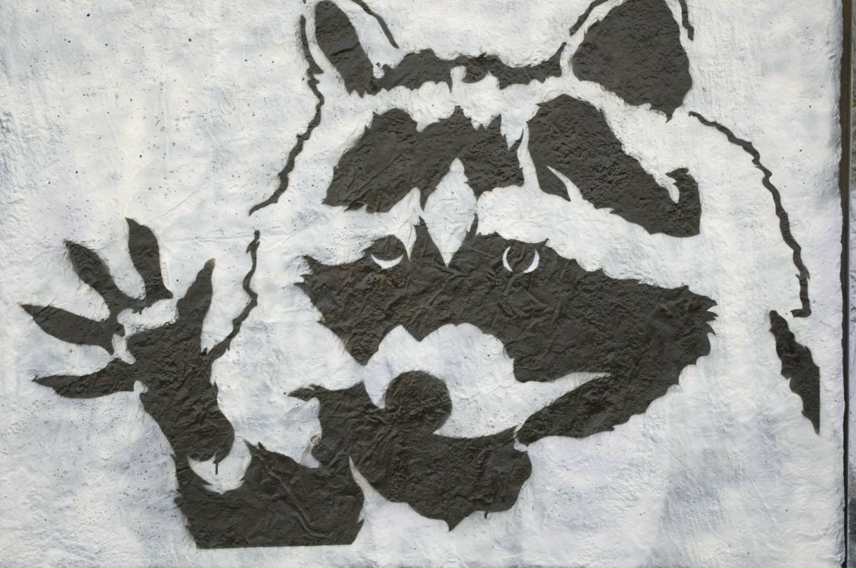 Виктор Мещеряков фотография #48