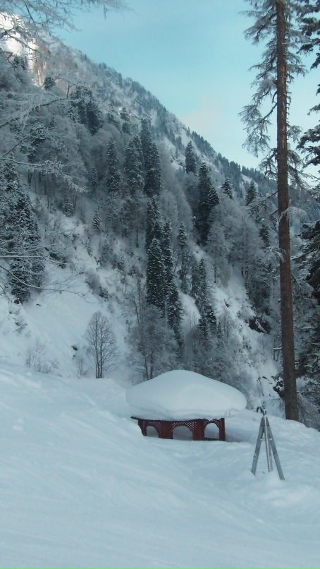 Мария Лета фотография #42