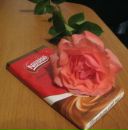 Фотография Тулаевой Елены