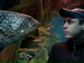 Фотография Гнутова Петра