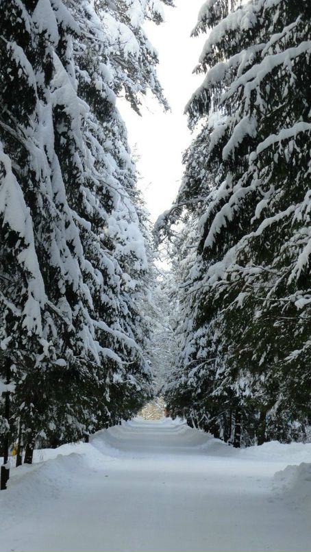 Victor Sheremetker фотография #27