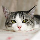 Фотография Сабановой Анастасии