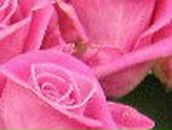 Наталія Цимбалюк фотография #47 (источник - https://vk.com/id161948250)