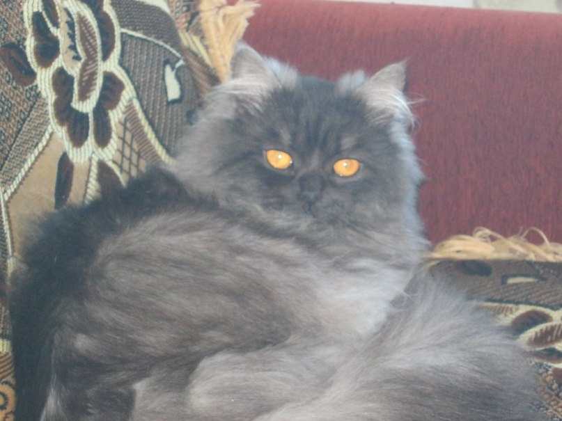 Наталия Колца фотография #50