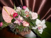 Фотография Фокиной Алёны