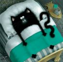 Слава Ивасенко фотография #15 (источник - https://vk.com/id15062247)