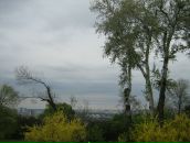 Юлія Парфеса фотография #15 (источник - https://vk.com/id6576639)