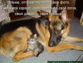 Адріанка Васько фотография #29 (источник - https://vk.com/id61675486)