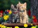 Фотография Фоминой Елены