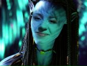 Фотография Марковой Светланы