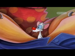 Пинки и Брейн (3 Сезон 14 Серия)