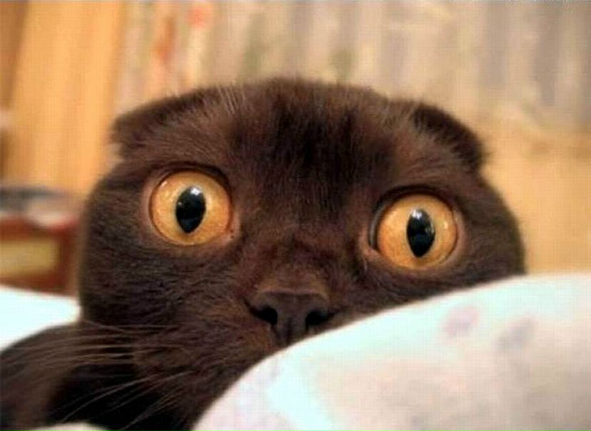 Олег Рубан фото №2