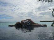 Фотография Ковалевской Юлии