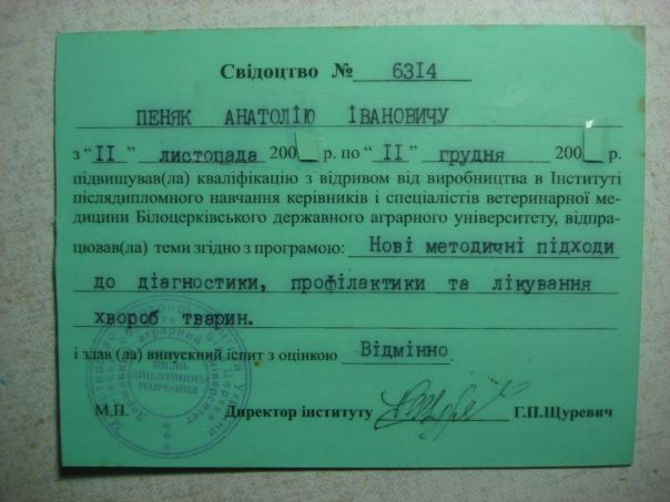 Qwe Asd фото №1