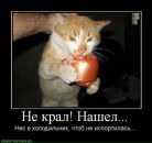 Фотография Смирновой Марии