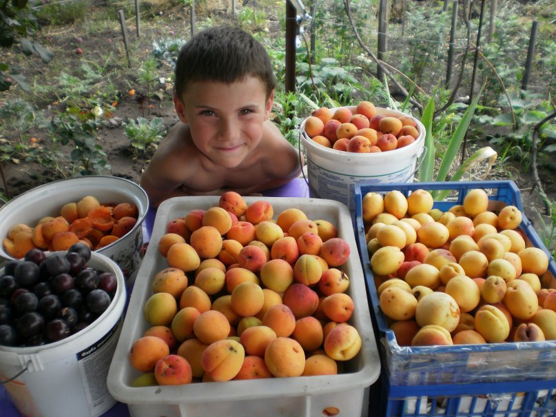 Богдан Студент фотография #38